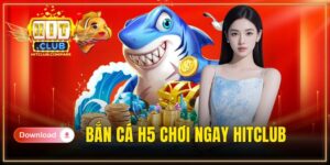 bắn cá H5 chơi ngay
