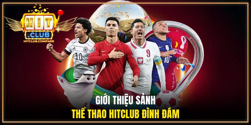 Thể Thao HITCLUB - Sảnh Giải Trí Tiềm Năng Cho Bet Thủ 1 Giới thiệu sảnh thể thao HITCLUB đình đám