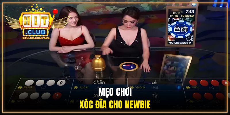 Xóc Đĩa HITCLUB - Cách Chơi Chuẩn & Mẹo Đặt Cược Bất Bại 3 Mẹo chơi xóc đĩa cho newbie