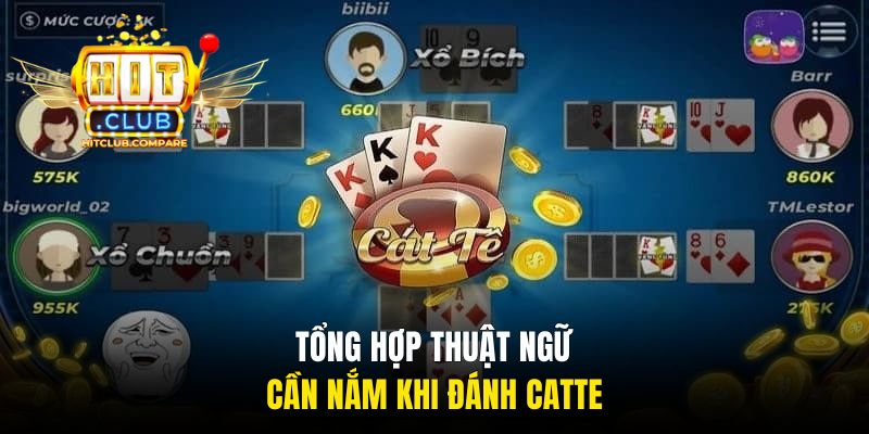 Cát Tê HITCLUB - Chia Sẻ Luật Chơi Chi Tiết Cho Người Mới 2 Tổng hợp thuật ngữ cần nắm khi đánh Catte